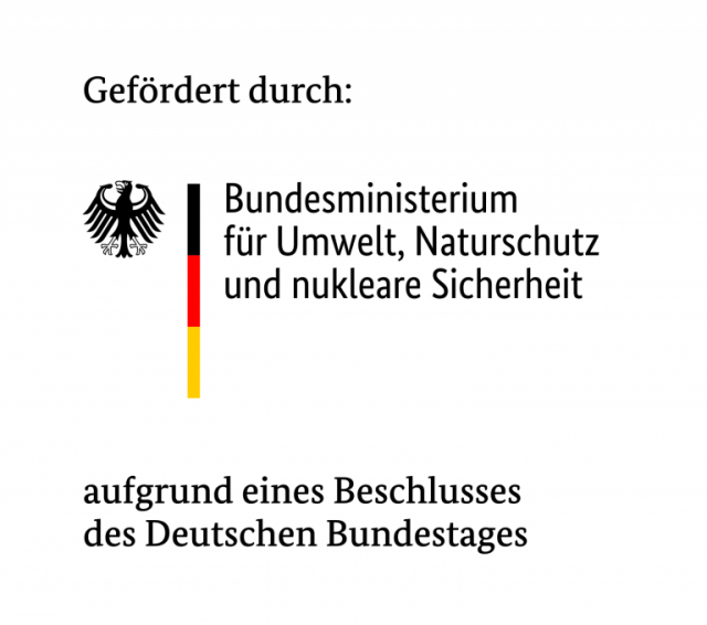 Logo_BMU-768x679