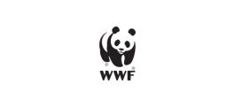 CEWI